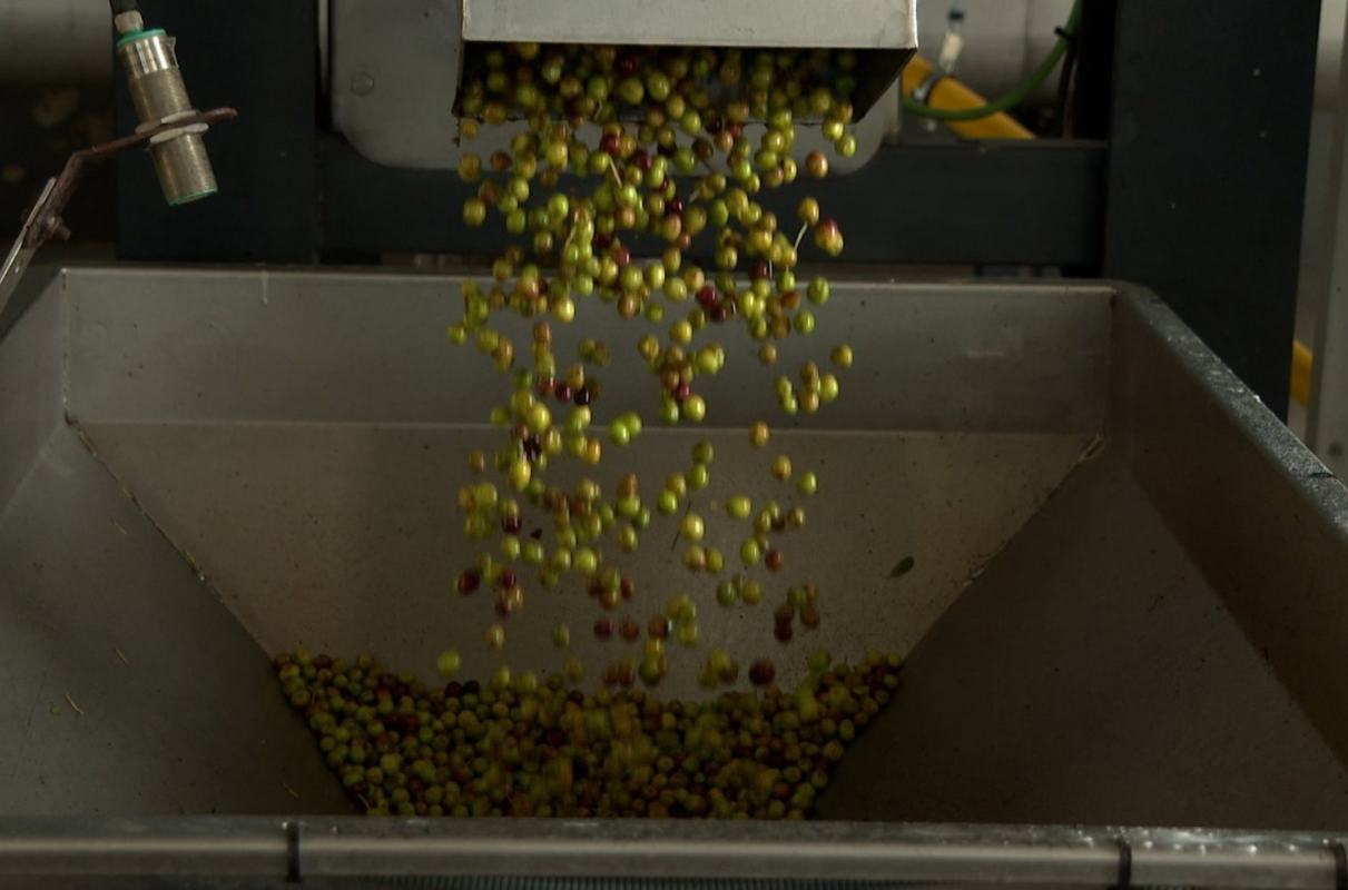 Las cooperativas busca, ante todo, la calidad.