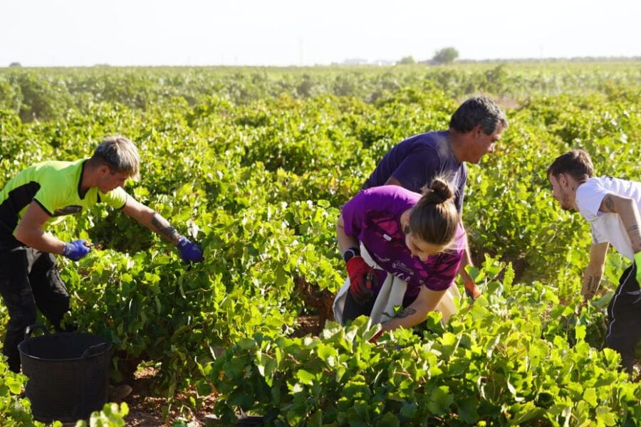 CCOO Castilla-La Mancha reclama un convenio regional del campo que mejore las condiciones de las mujeres