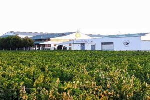 Explotaciones Hermanos Delgado