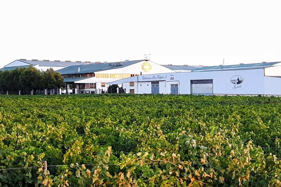 Explotaciones Hermanos Delgado