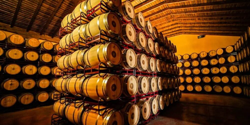 Interior de la Cooperativa Cristo de la Vega