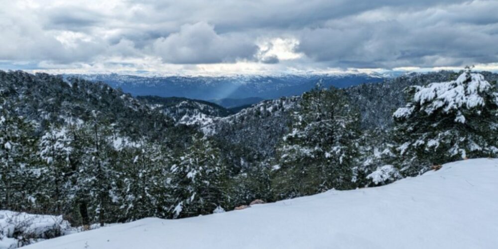 Foto de archivo de nieve en la Dehesa de las Almenaras (Riópar). Foto: Meteo Hellín
