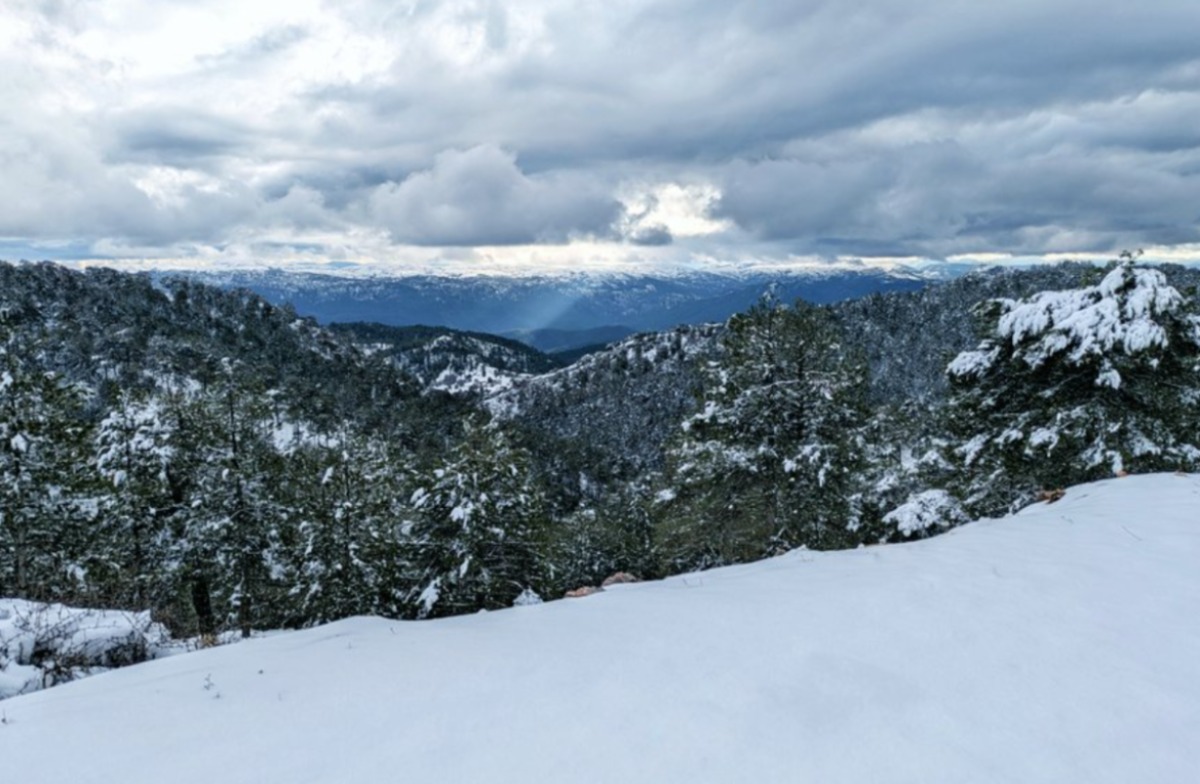 Dehesa de las Almenaras (Riópar). Foto: Meteo Hellín