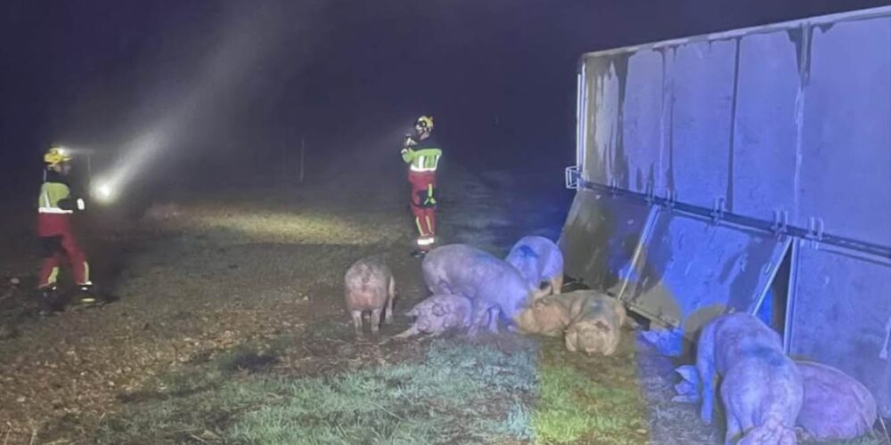 El accidente de tráfico ha tenido lugar en la CM-4025, a la altura de Consuegra.