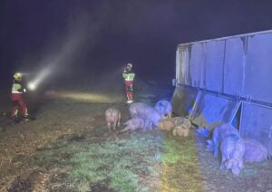 El accidente de tráfico ha tenido lugar en la CM-4025, a la altura de Consuegra.