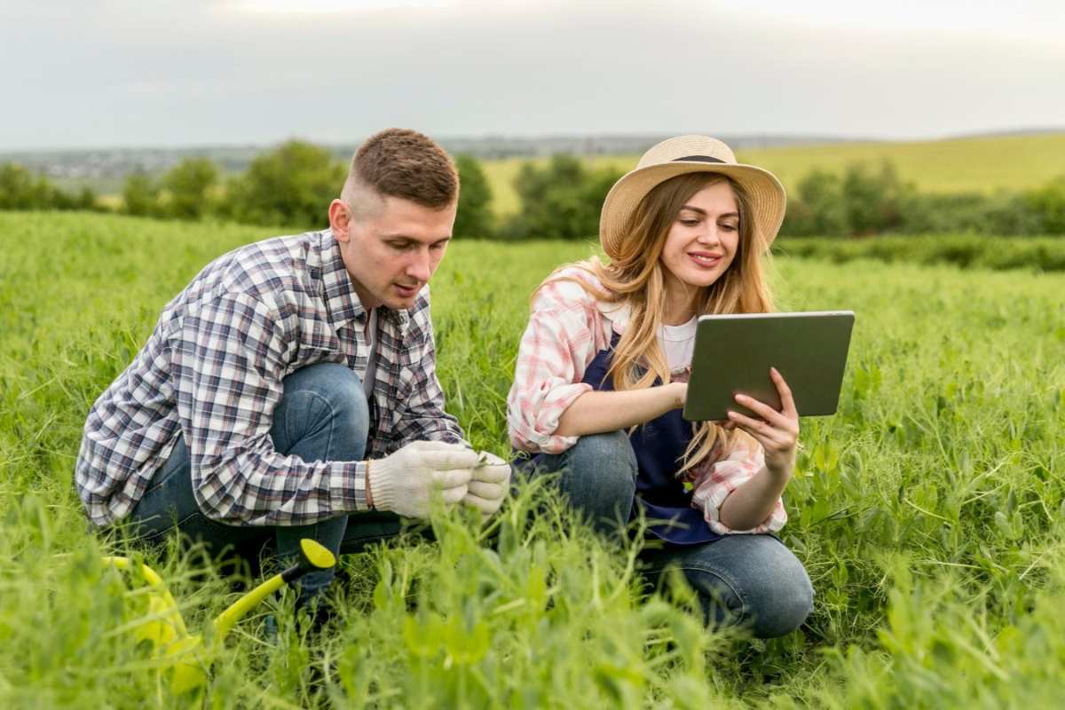 titularidad compartida