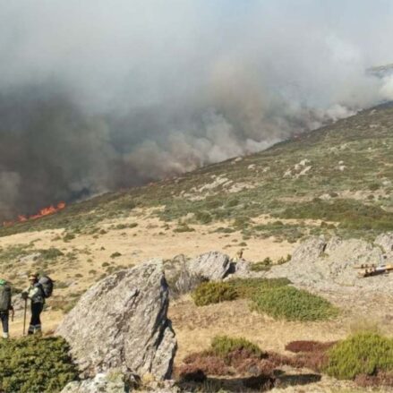 Incendio en Peñalva de la Sierra (Guadalajara) en septiembre. Alcanzó el nivel 1. Foto: Foto: Infocam.