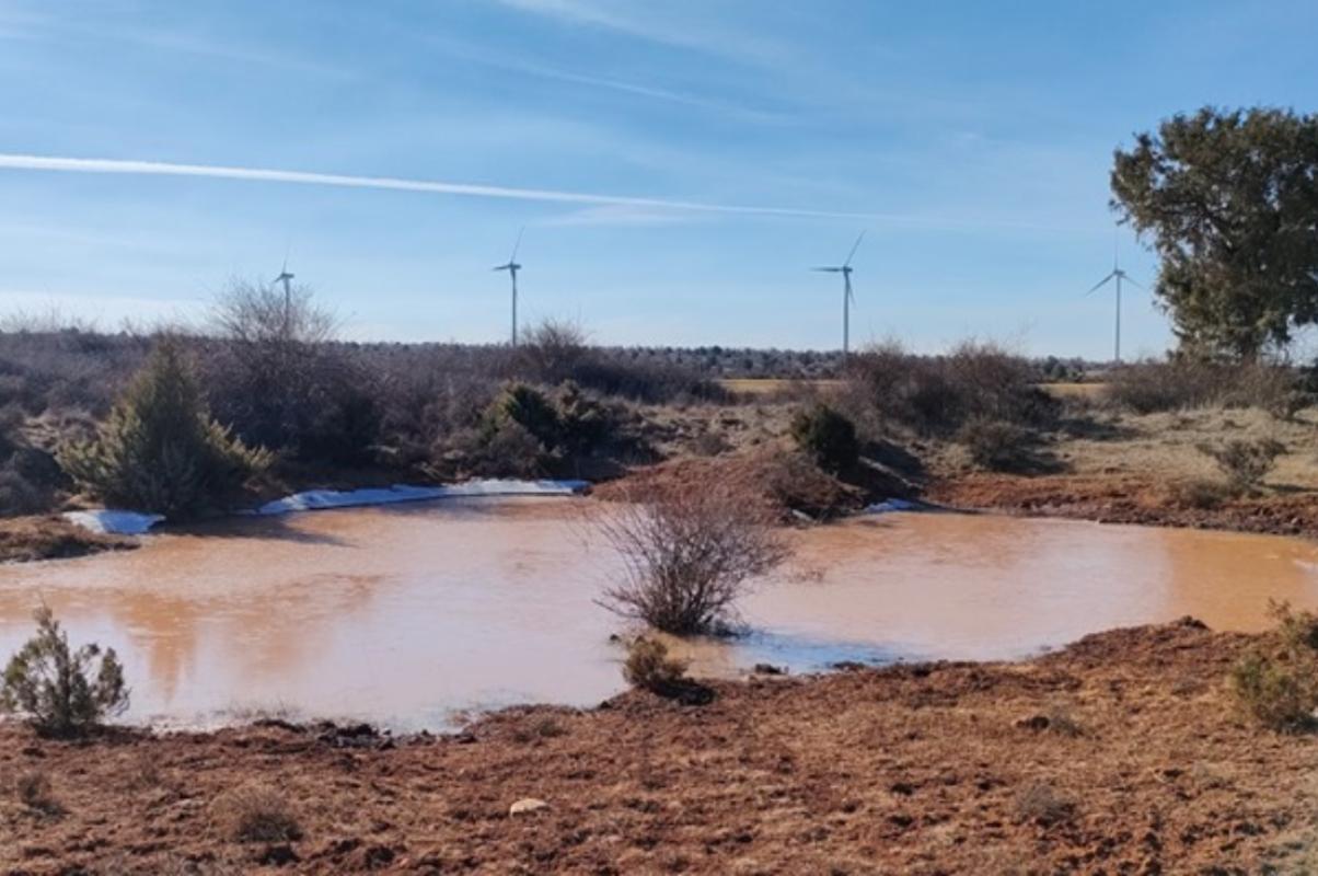 Laguna Seca Maranchón Foto: Ecologistas en Acción