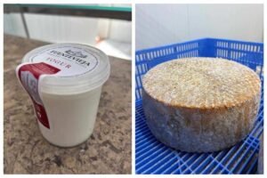 Imagen del yogur natural y queso de Fuentevieja premiados.