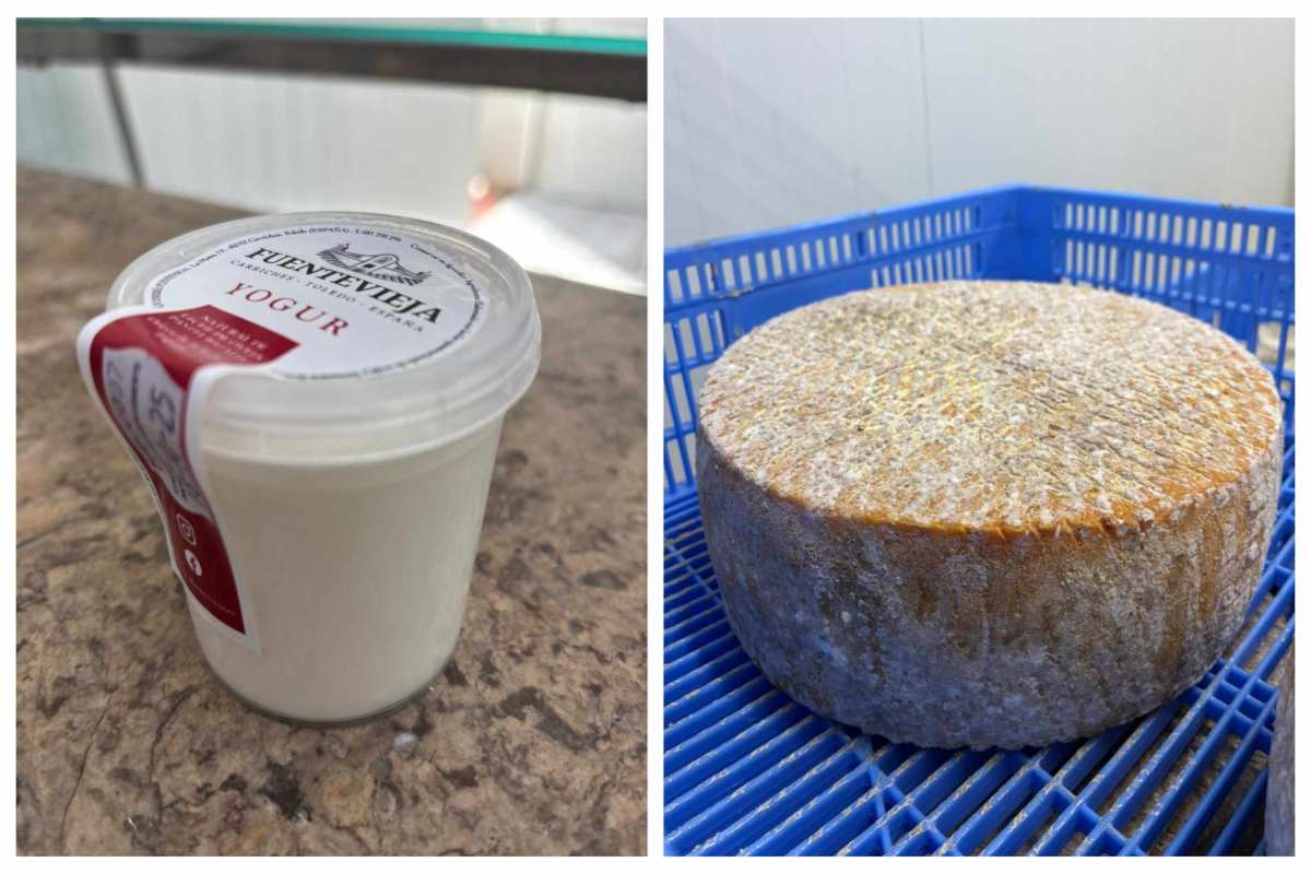 Imagen del yogur natural y queso de Fuentevieja premiados.