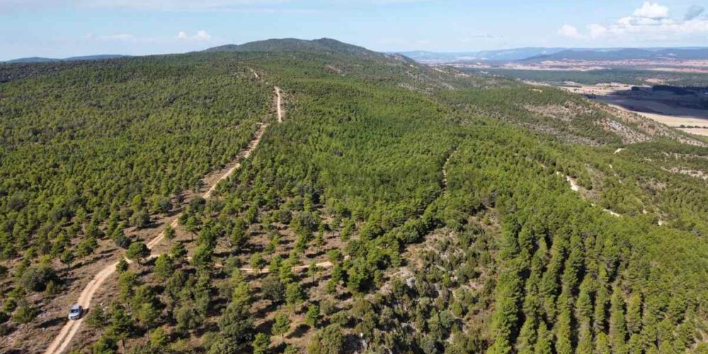 Imagen aérea de la Sierra de Bascuñana, donde se levantará el parque Toroverde.