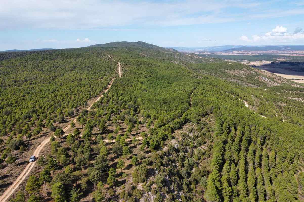 Imagen aérea de la Sierra de Bascuñana, donde se levantará el parque Toroverde.