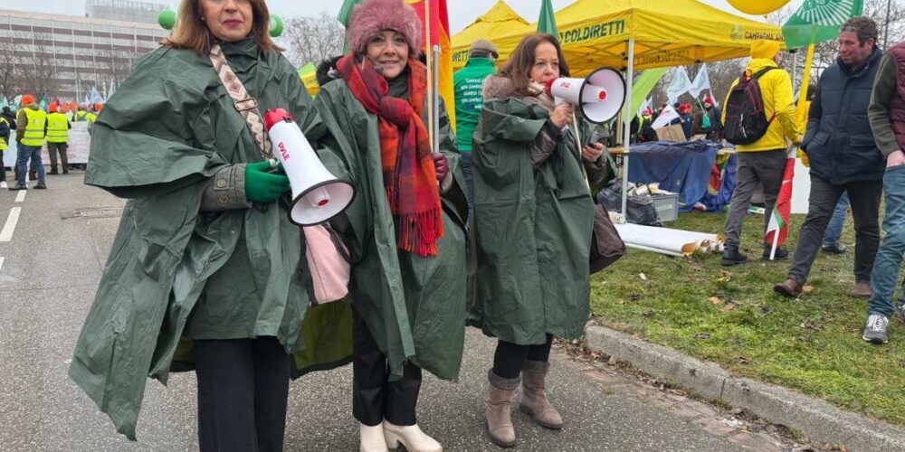 Blanca Corroto en Estrasburgo