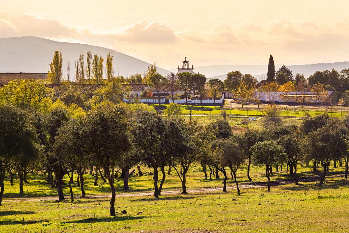 Finca El Molinillo, en Retuerta del Bullaque