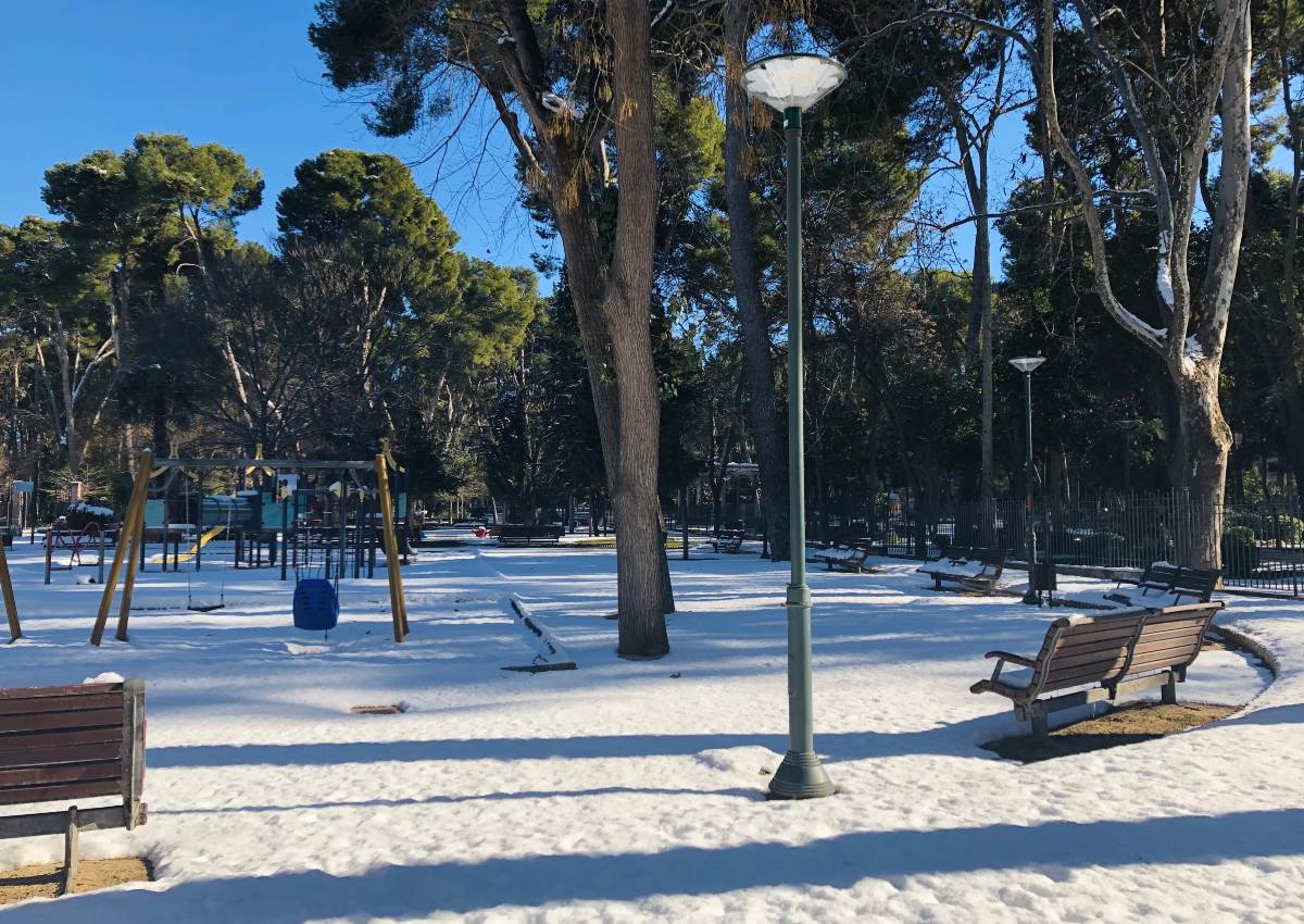 Parque Abelardo Sánchez de Albacete nevado. Foto: Elena Valero