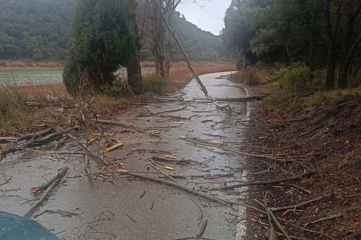 Imagen de la carretera de acceso a las Lagunas de Ruidera