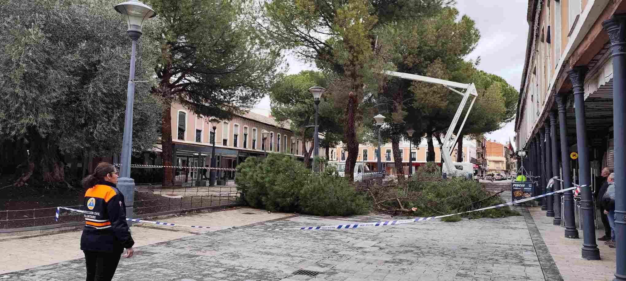 Incidencias en la Plaza de España de Daimiel