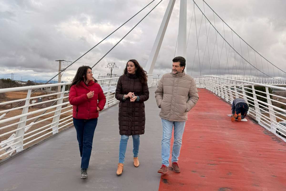 La directora general de Transportes de la Junta ha visitado la pasarela para comprobar las deficiencias