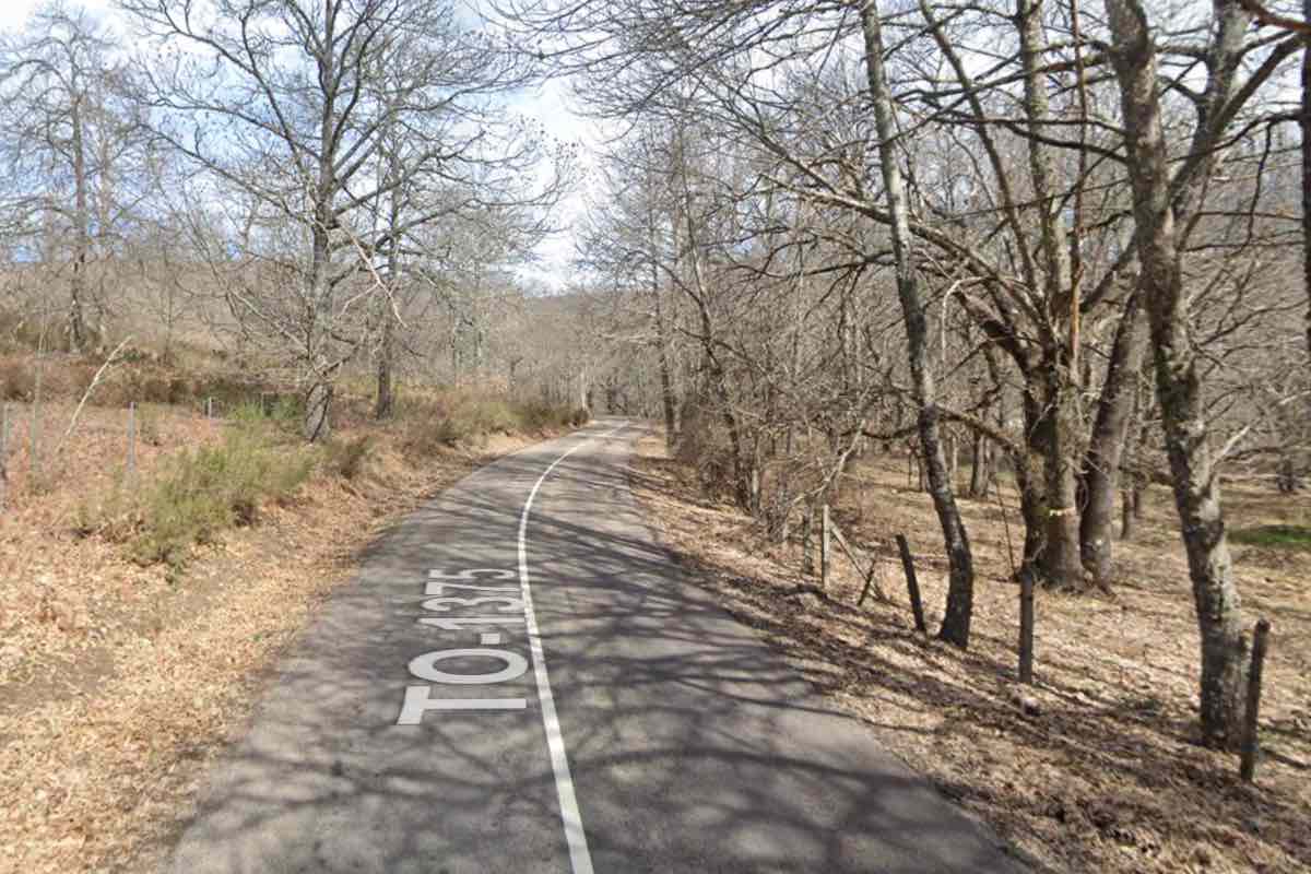 Carretera TO-1375, que une Navamorcuende y El Real de San Vicente