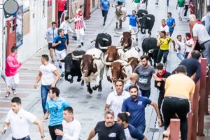 Encierro urbano Guadalajara