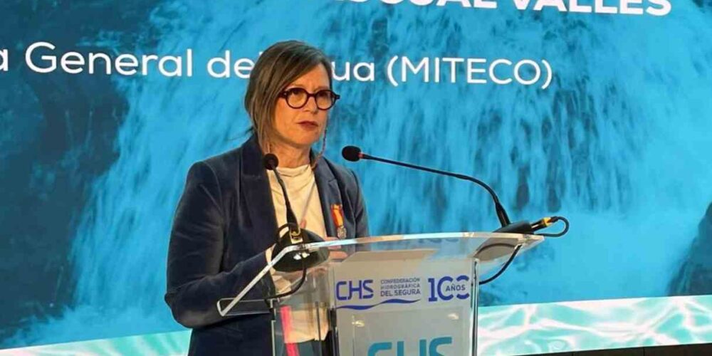 La directora general del Agua, María Dolores Pascual.