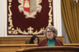 Intervención de Mercedes Gómez en las Cortes.