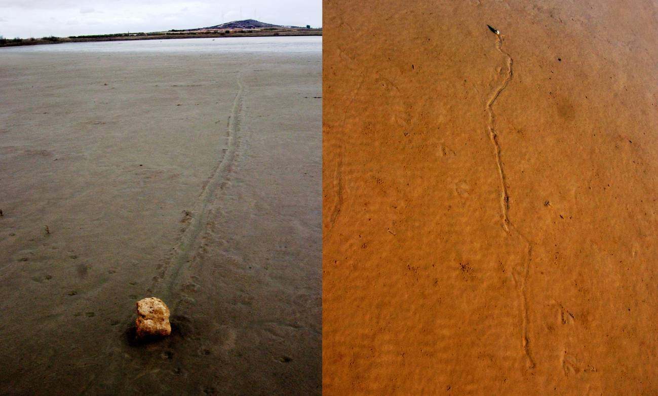 Imagen de Instituto de Geociencias (CSIC-UCM).