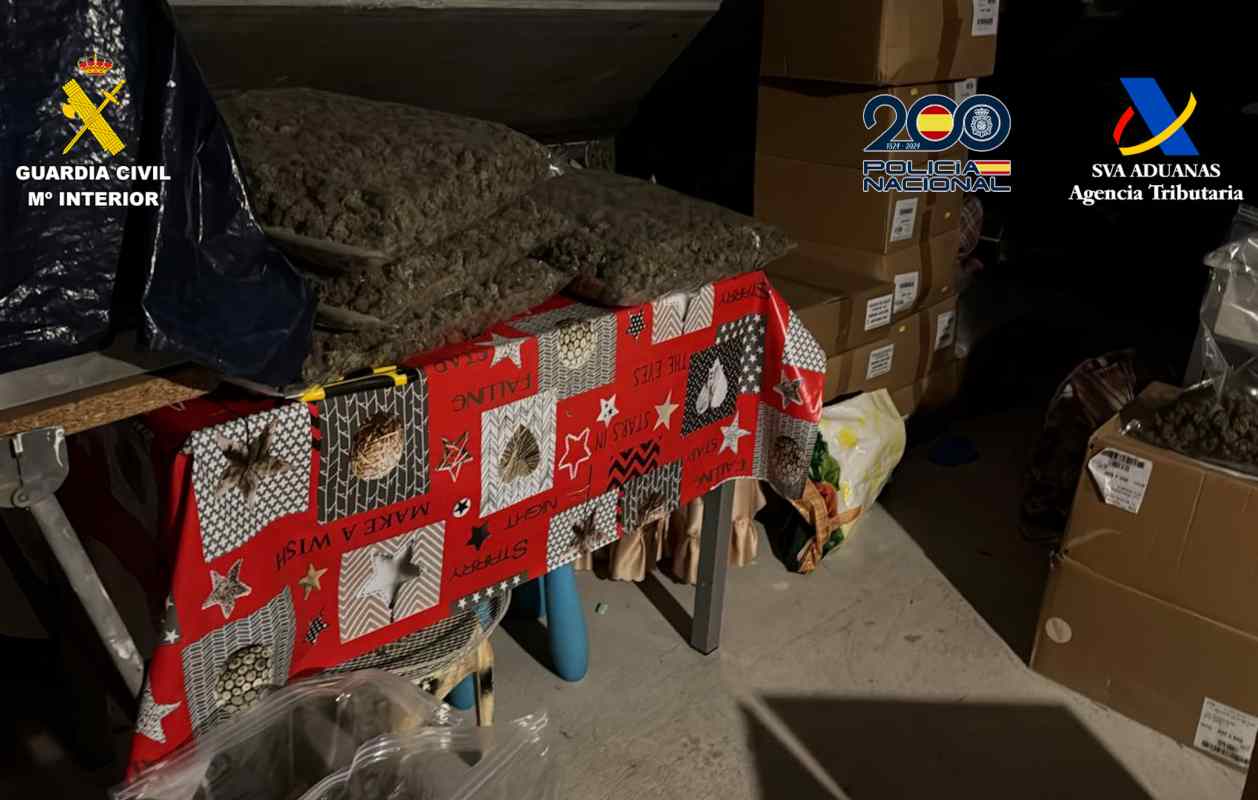 Marihuana incautada en la provincia de Toledo.