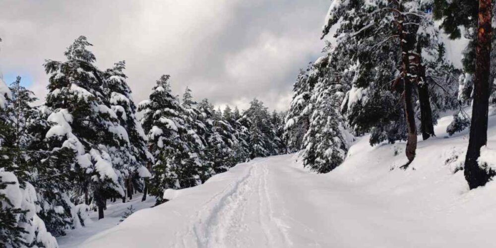 Imagen de archivo de una nevada.