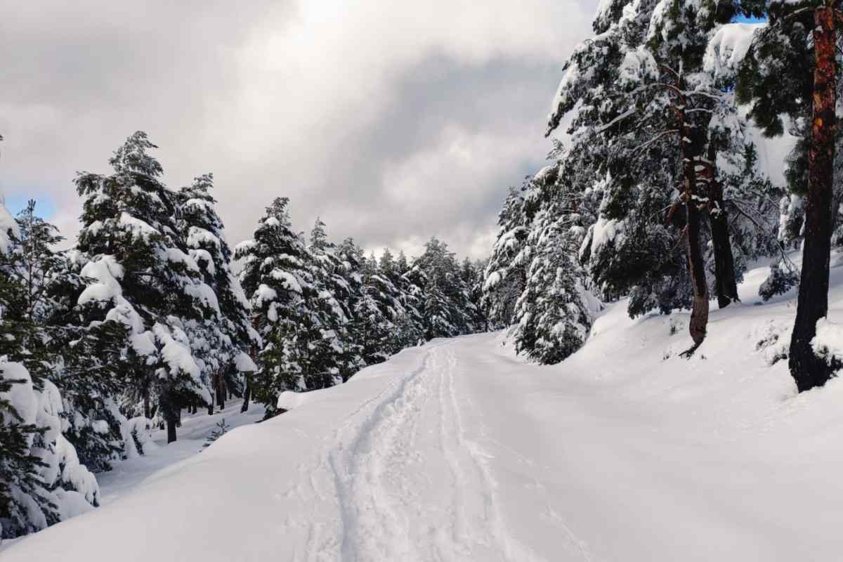 Imagen de archivo de una nevada.