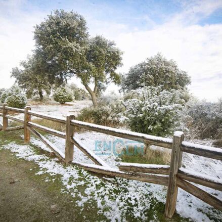 Finísima capa de nieve en Toledo, en la zona del Valle. Foto: Rebeca Arango.