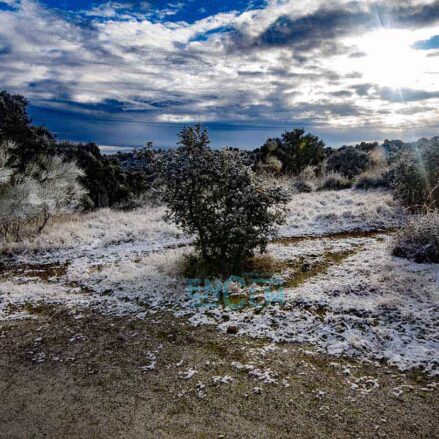 Nieve en Toledo, en la zona del Hospital del Valle. Foto: Rebeca Arango.