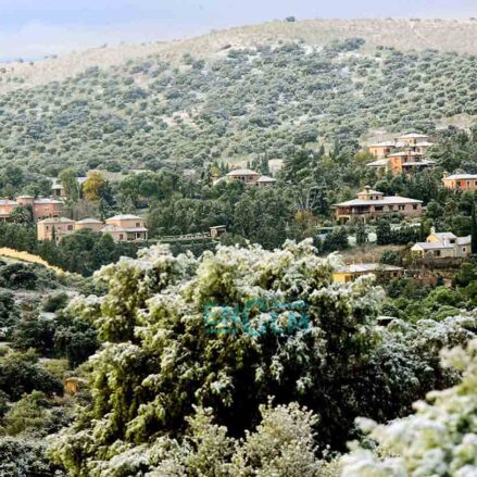Nieve en Toledo, en la zona de los cigarrales. Foto: Rebeca Arango.