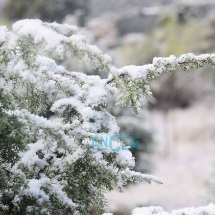 Nieva en Toledo, en la zona del Hospital del Valle. Foto: Rebeca Arango.