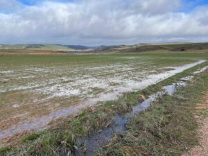 parcelas agrarias inundadas