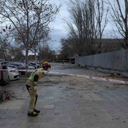 Ramas caídas en el recinto de Castilla-La Mancha Media.