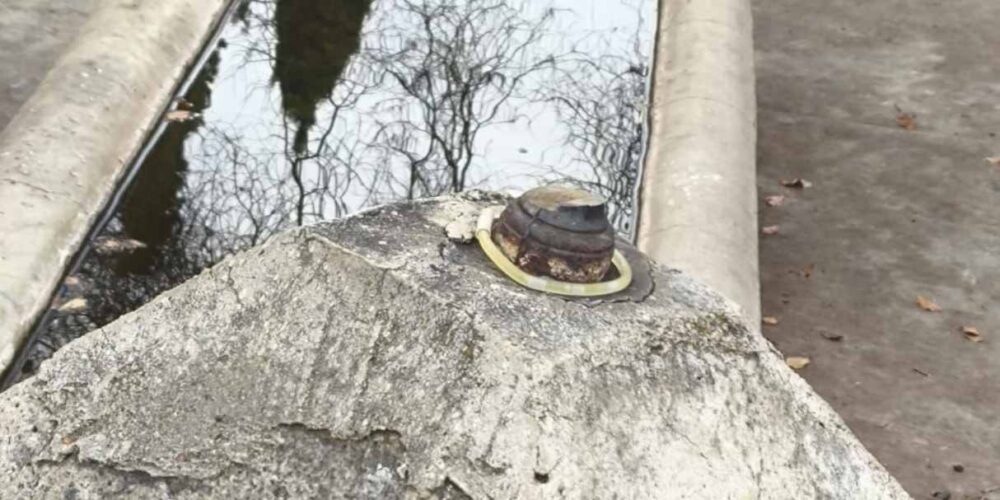 En la imagen se ve la parte superior de la fuente sin la piña.