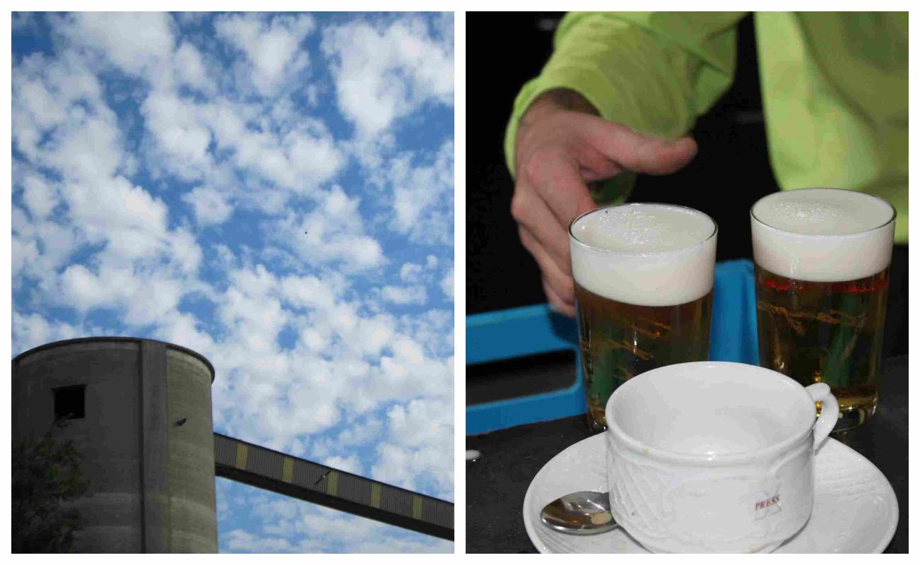 Comportamiento dispar del sector industrial y de los servicios.