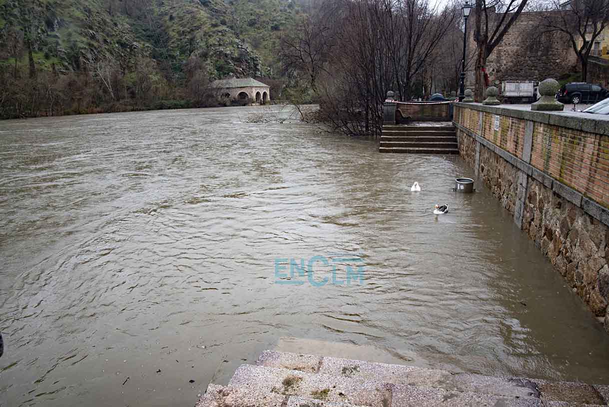 Crecida del río Tajo a su paso por Toledo. Foto: Rebeca Arango.