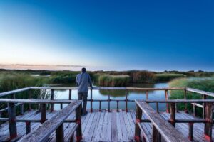 Atardecer en una de las pasarelas de las Tablas de Daimiel