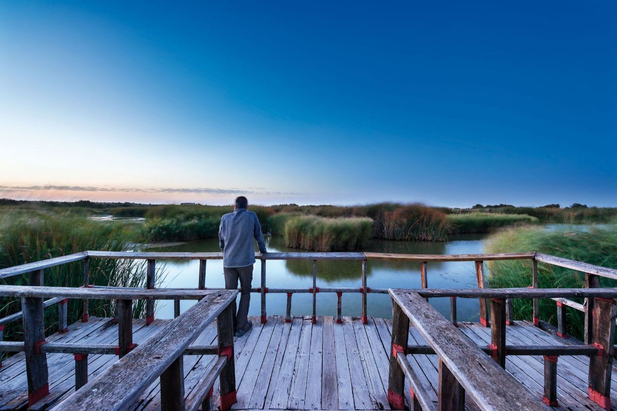 Atardecer en una de las pasarelas de las Tablas de Daimiel