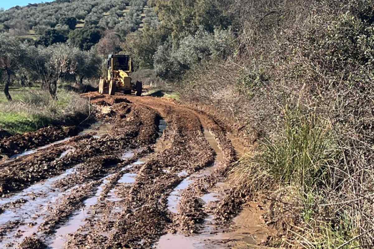 Imagen de un camino dañado en la provincia de Ciudad Real tras el tren de borrascas