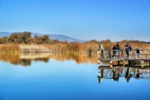 Turistas en las Tablas de Daimiel