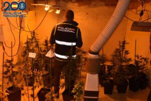 Un agente de la Policía Nacional en el interior del domicilio donde se encontraba el cultivo indoor