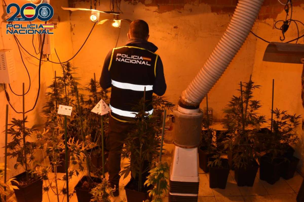 Un agente de la Policía Nacional en el interior del domicilio donde se encontraba el cultivo indoor