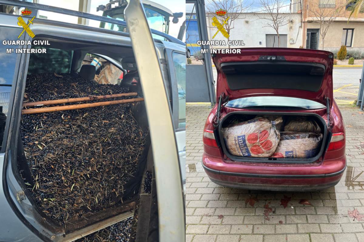 Vehículos 'cazados' por la Guardia Civil