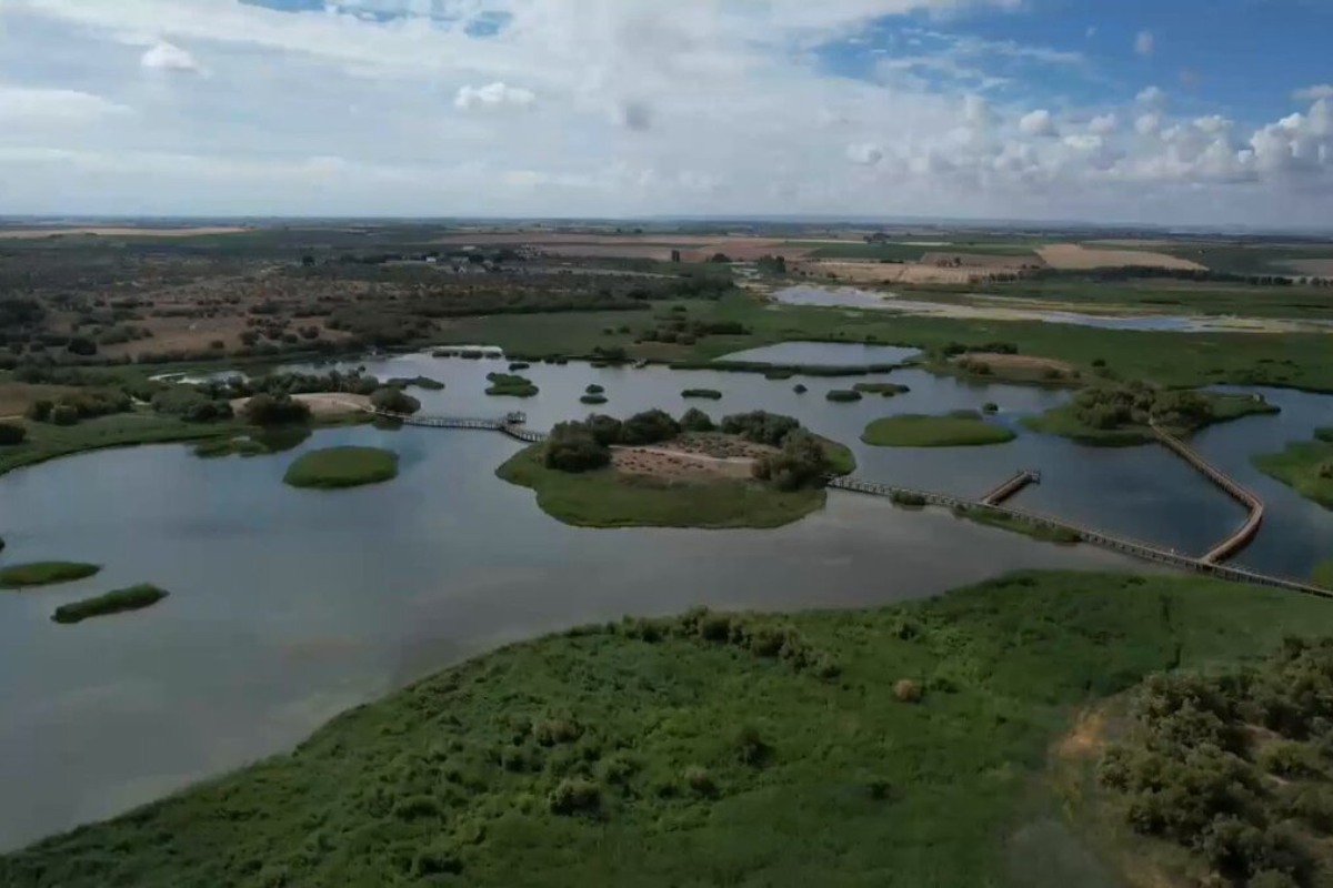 Vista aérea del Parque Nacional de las Tablas de Daimiel