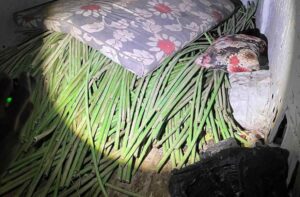 Cableado eléctrico incautado Guardia Civil