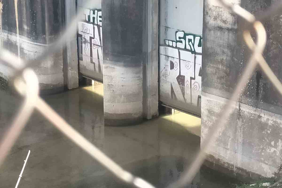 El canal que une Entrepeñas y Buendía reabre un año después.