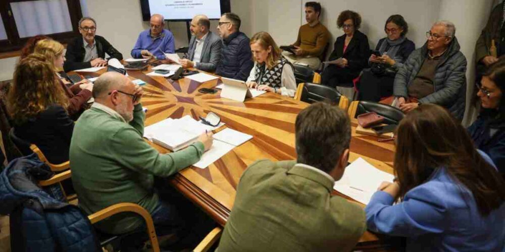 Comisión de Empleo, Desarllo Económico y Planteamiento del Ayuntamiento de Toledo.